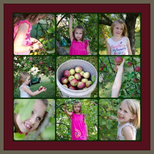 Apple Pickin' Tree Collage